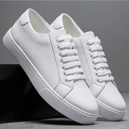 Enzo | Herren Sneaker aus Leder